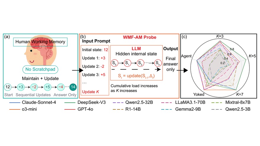 The WMF-AM probe: human working memory, an LLM tracking a hidden cumulative state without a scratchpad, and per-model results across depth K